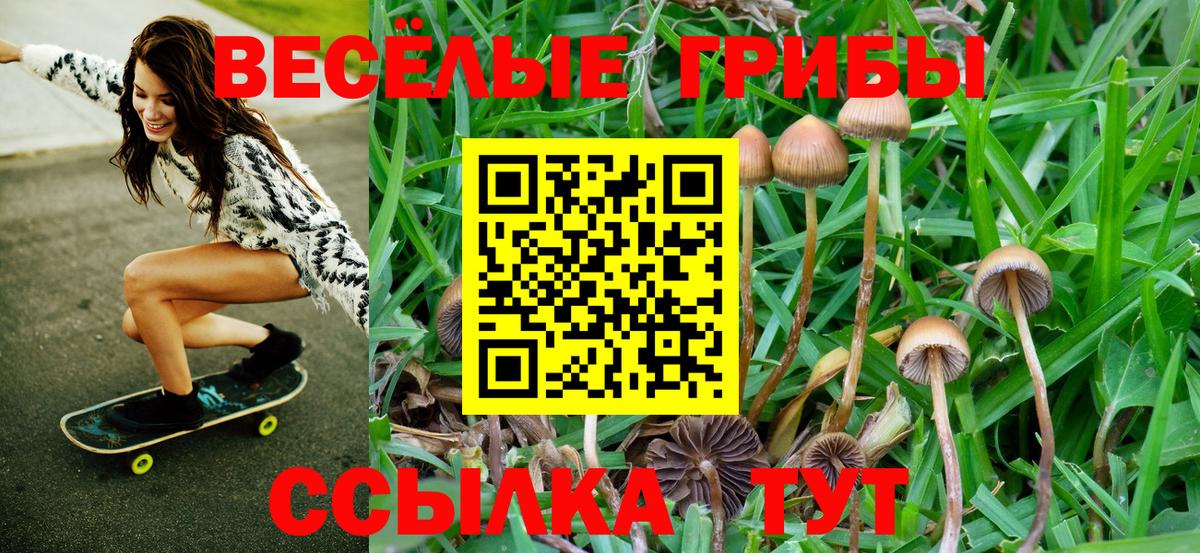 Учалы  Галлюциногенные грибы прущие грибы  Вход с VPN 